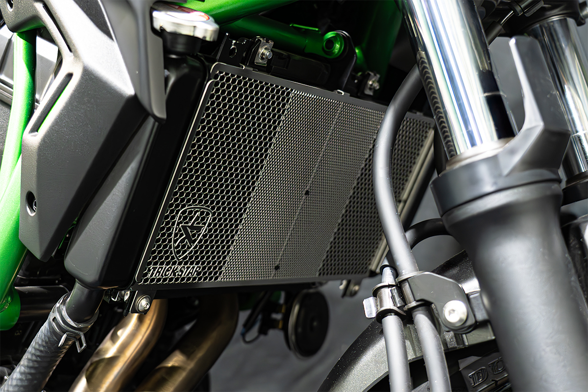 トリックスター / Kawasaki