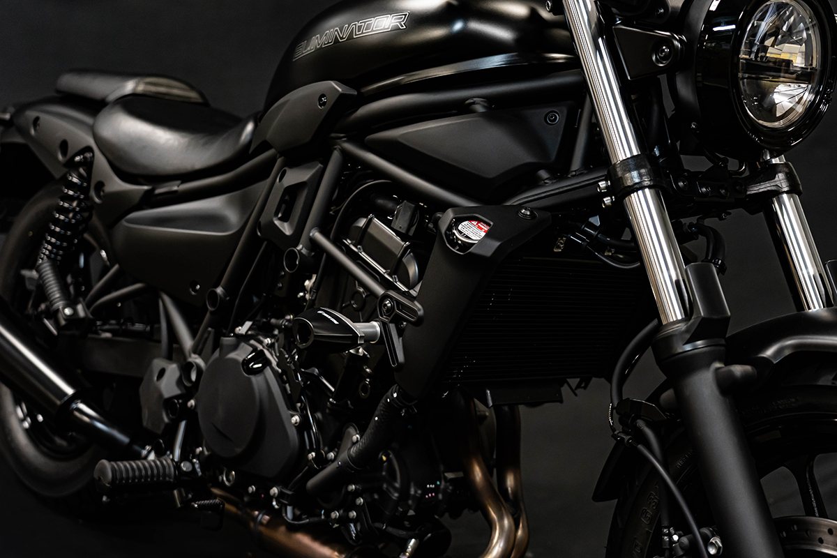 トリックスター / Kawasaki