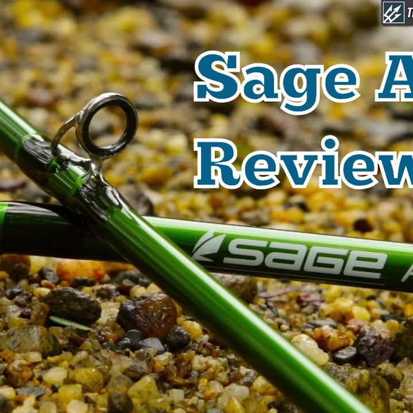Sage Accel Fly Rod Review | Trident Fly Fishing