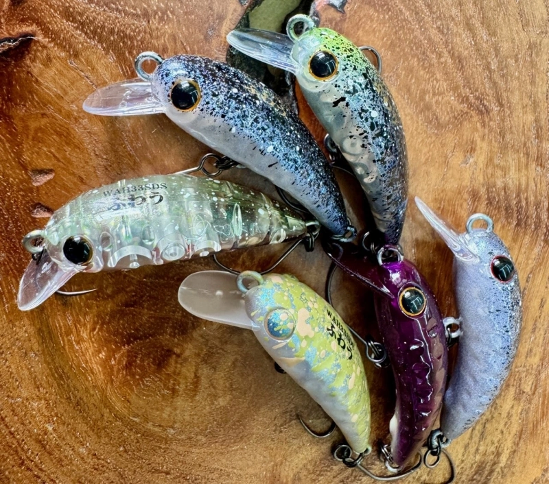 ワウ33SDS（通称：ふわう）オオツカオリカラ登場！ | プロショップ