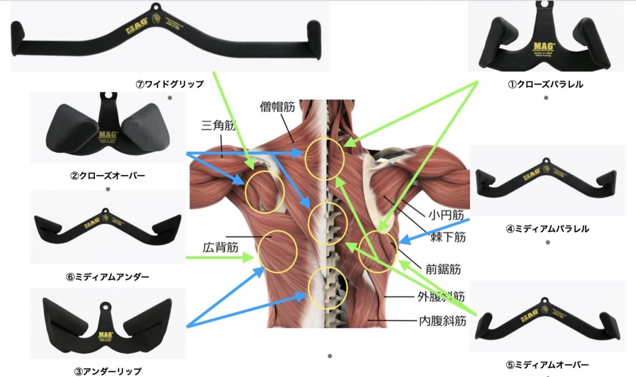 たくちゃんの日常（MAG その2） | トレーニング | コラム | ムリなく