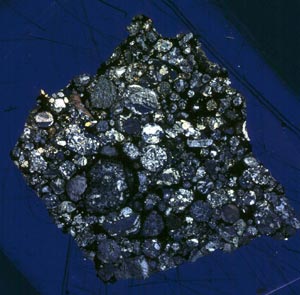 隕石から覗く太陽系 ウロボロスVolume12 Number2 東京大学総合研究博物館