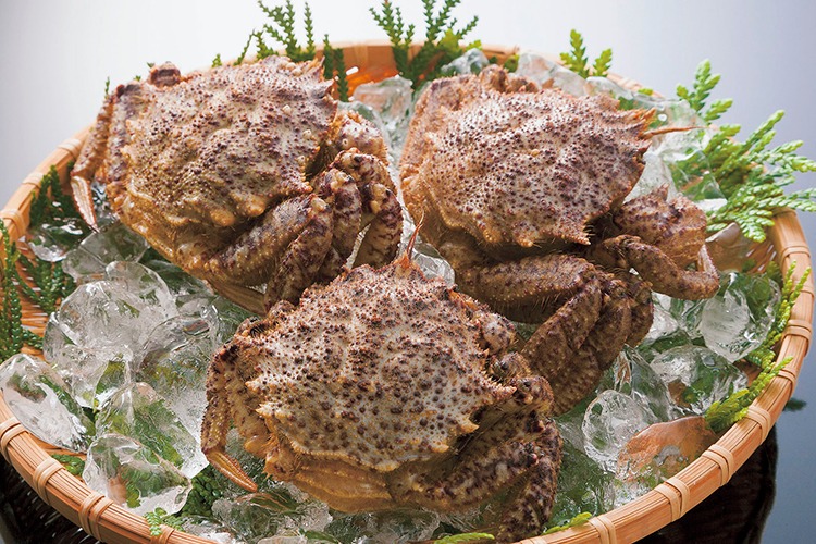 トゲクリガニ｜青森特産品図鑑｜青森のうまいものたち