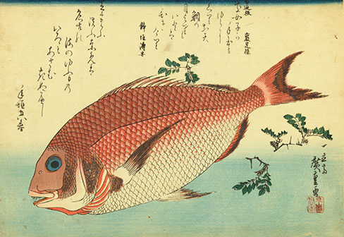 アート魚ッチング―描かれた水の仲間たち― – 広島 海の見える杜美術館