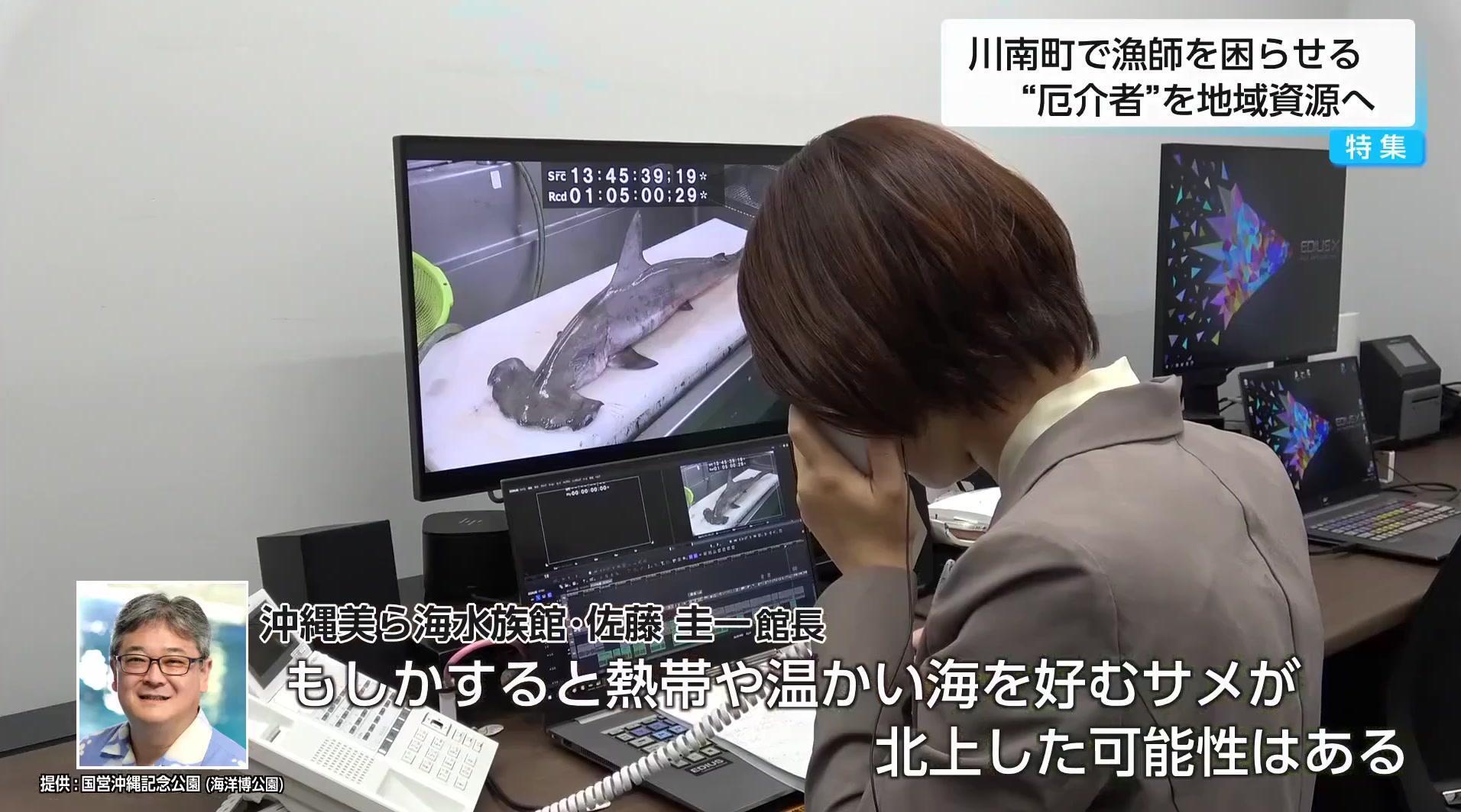 サメはフライにするのが一番」試作30品目でたどり着く 地域資源化で