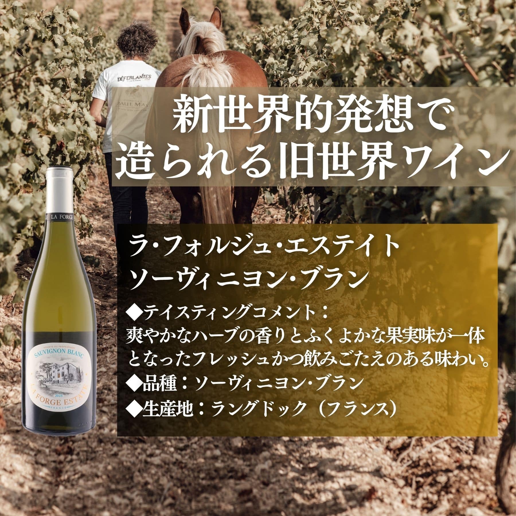 この価格でこの味わいは素晴らしい！とソムリエたちをうならせた白