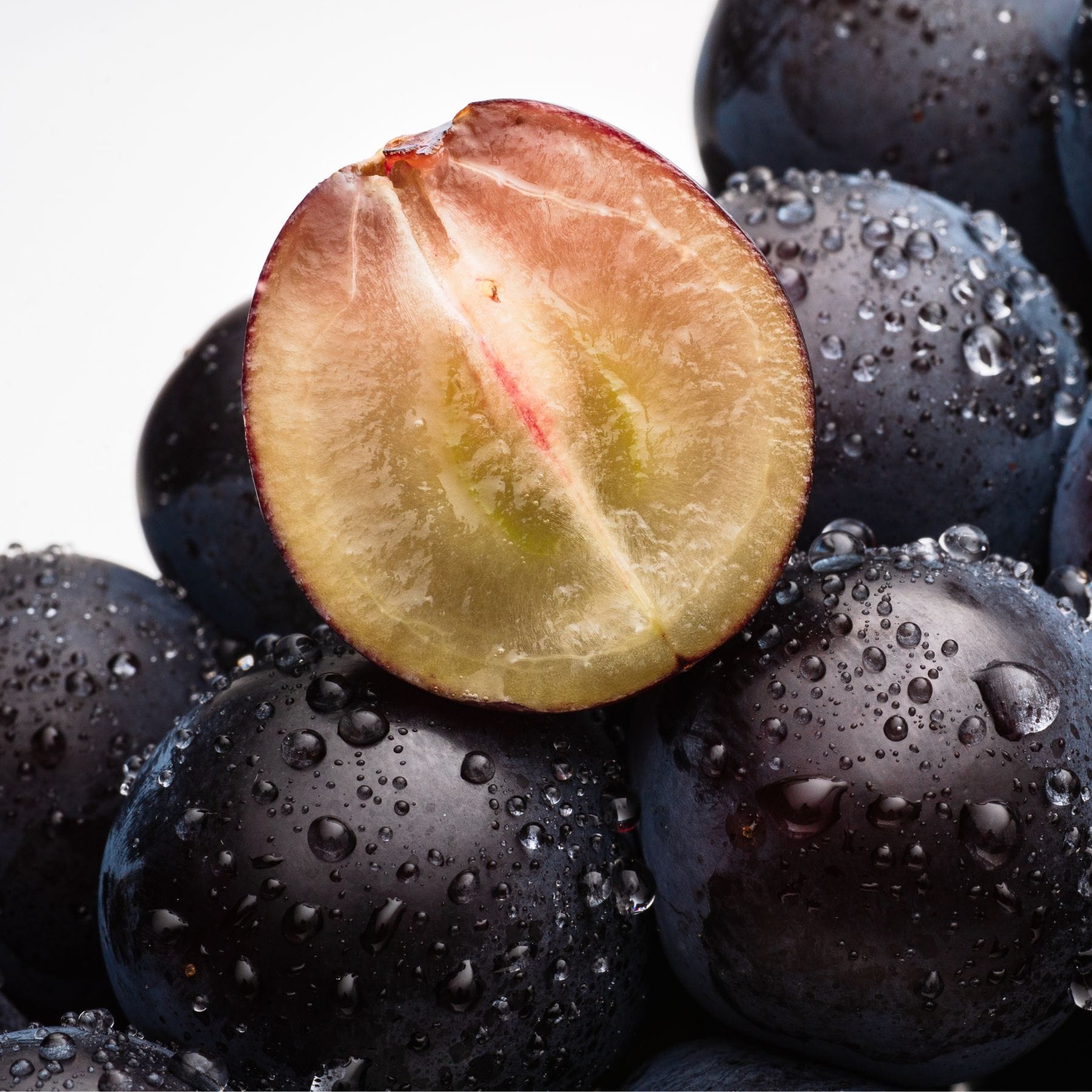 エアリーフルーツ 黒ブドウ 18g フリーズドライフルーツ