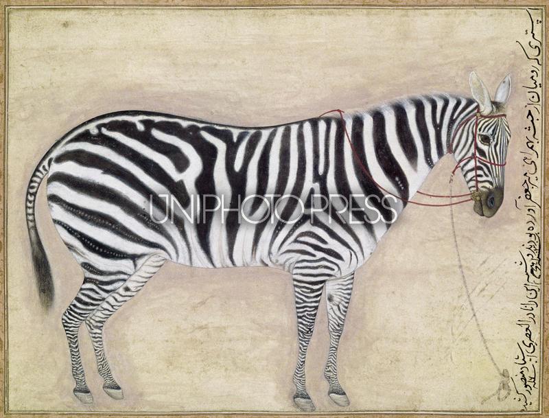 ムガル王朝の細密画 | UNIPHOTO PRESS ユニフォトプレス