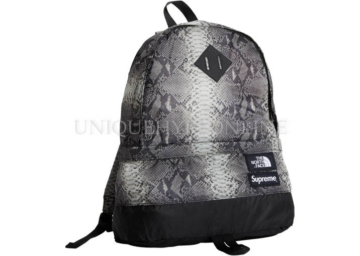 Supreme The North Face Snakeskin Lightweight Day Pack SS18 Black