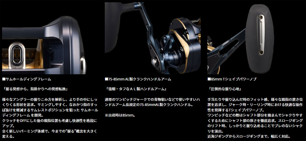 ダイワ 25ソルティガ 300H - 上島釣具店