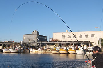 ダイワ 大島 磯 0.8号-53・F - フカセでチヌ！