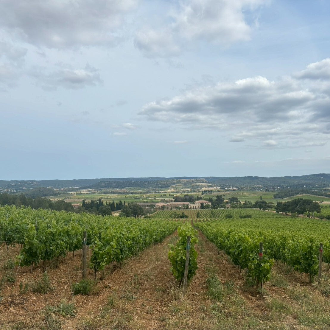 シャトー・レゾリュー 青ラベル