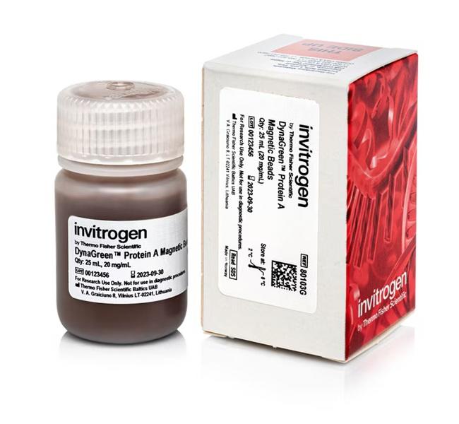 DynaGreen Protein A | 製品情報 | ベリタス