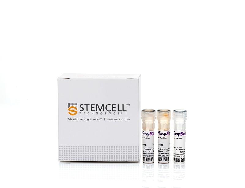 EasySep Neg Human B Cell Kit | 製品情報 | ベリタス