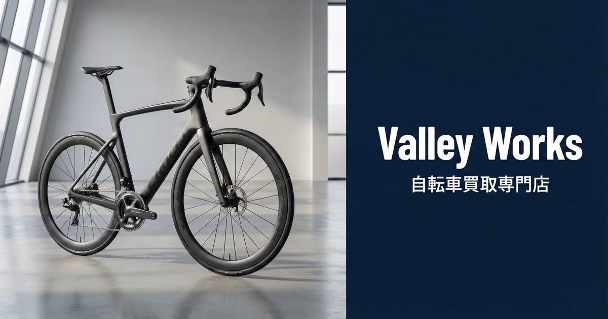 PIONEER(パイオニア)｜SGY-PM930H FC-R9100 左右計測パワーメーター