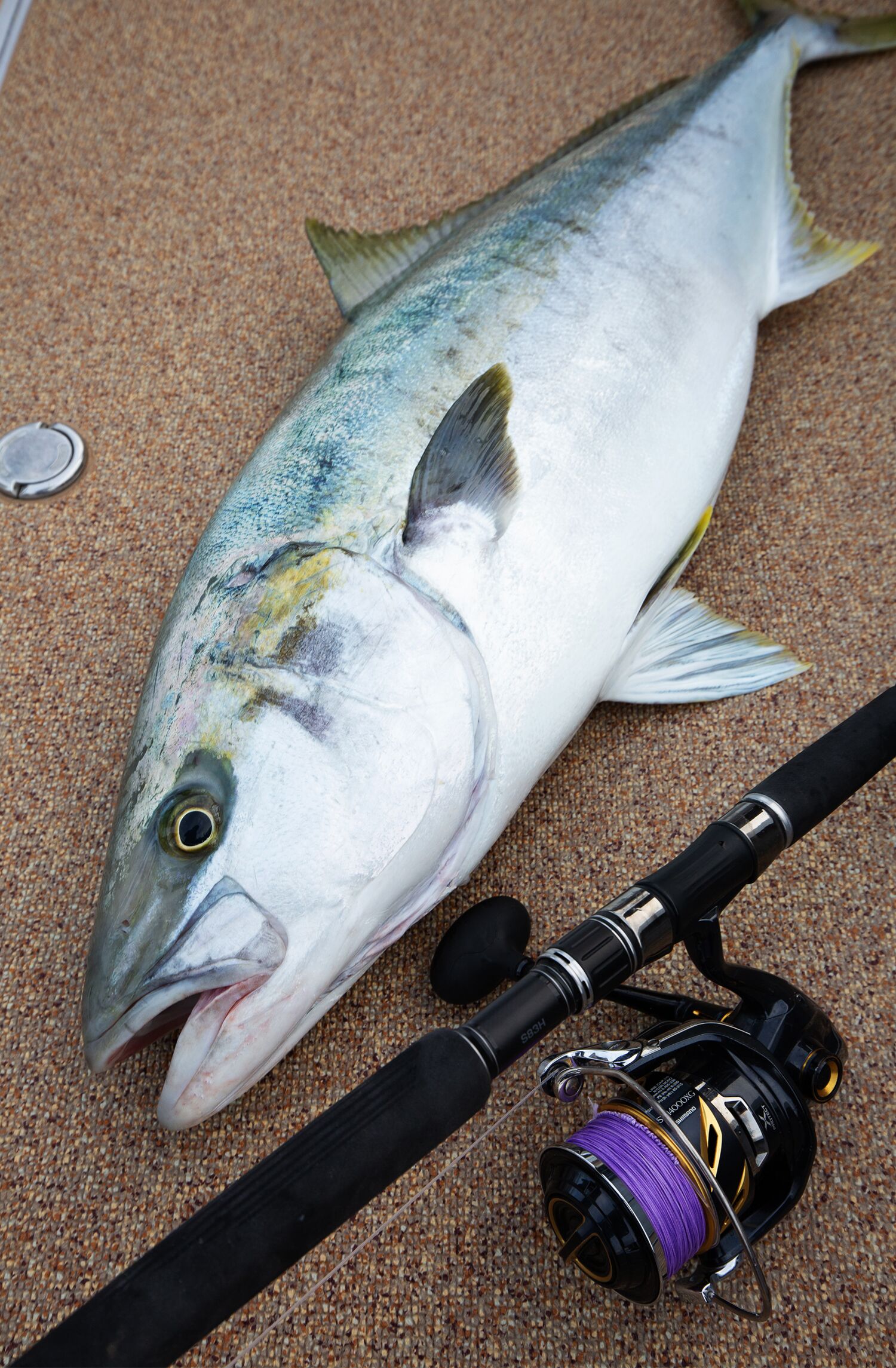 Avani Casting PE SMP X8 Hiramasa Tune – VARIVAS