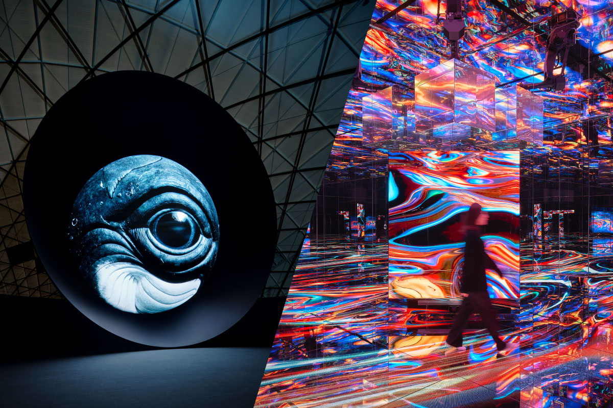 絵画 BLU/ZONE/2024 絵画 BLU/ZONE/2024 Amazon.co.jp: UNISON SQUARE