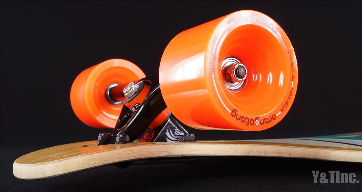 ローデッドダービッシュサマFlex245kg-84kg+パリス180ブラックイン