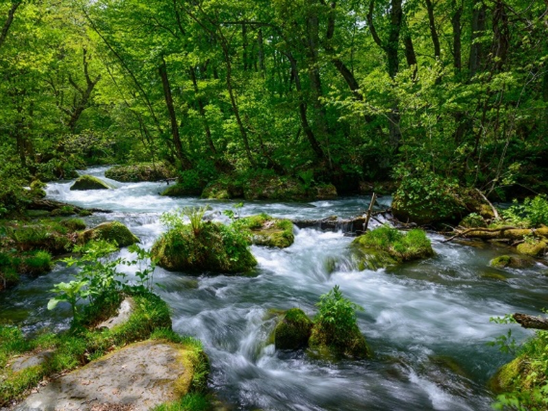 空気清浄機（ion Fresh）のご相談は横浜の『横浜計量オフィス』へ