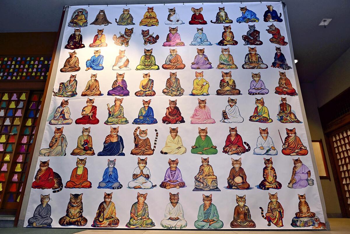 香川：「五百羅漢猫図」見比べて：地域ニュース : 読売新聞