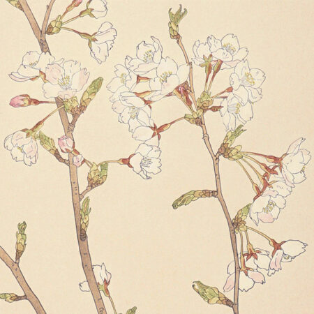 日本水彩画名作全集 全8冊」井上靖／河北倫明監修 | 山田書店美術部