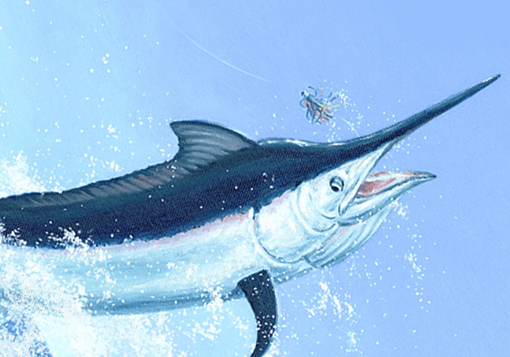 オフショア・スポーツフィッシング（カジキ釣り） - マリン製品