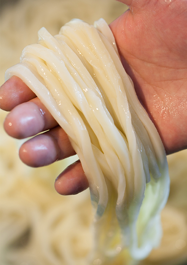 広島・エキニシでつるもち食感の熟成うどんを