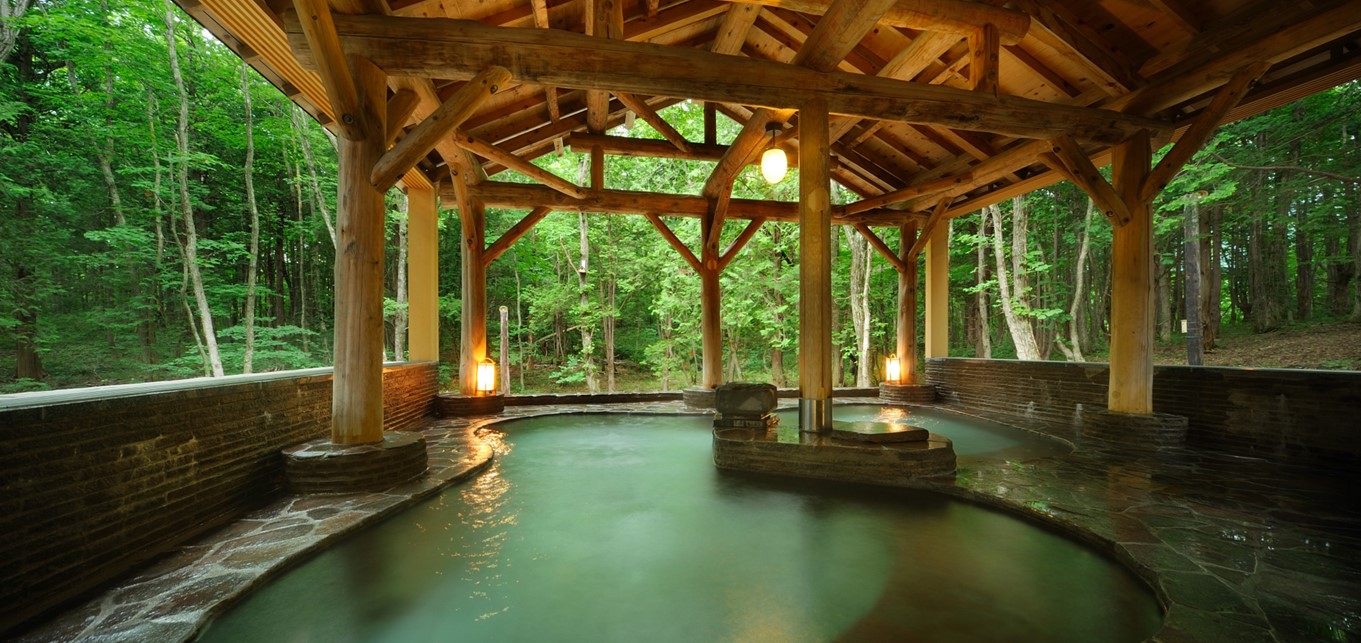 目的別ご宿泊プランのご案内 ｜ ゆこたんの森