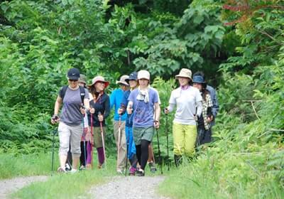 ノルディックウォーク｜【公式】湯沢中里スノーリゾート｜SUMMER