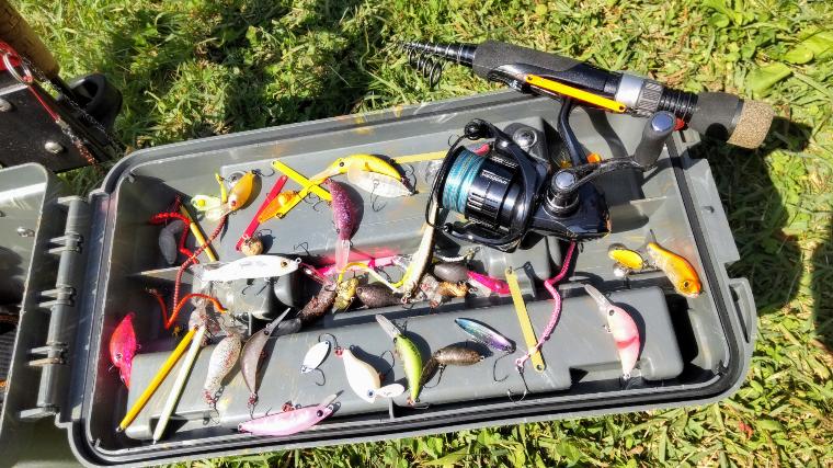 初心者必見】エリアトラウト徹底攻略！釣れない原因と裏テクニック総集編