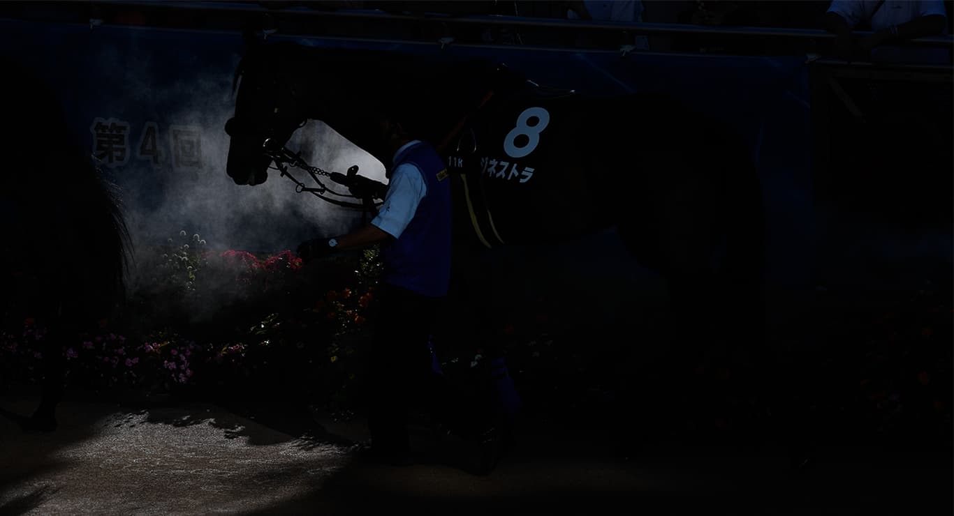 国内で新チャンピオンとなり 狙うは香港スプリント制覇 | ロード