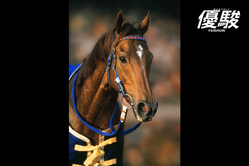 00年の最終戦である有馬記念は 力ずくで勝利をもぎとった | テイエム