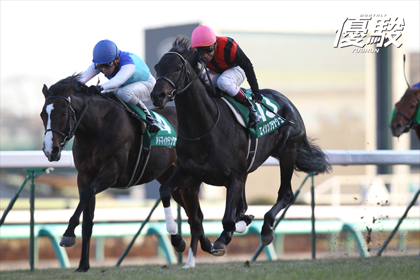 府中で二度煌いた閃光 エイシンフラッシュの瞬き | エイシンフラッシュ