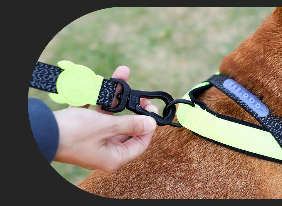 NOX SofterWalk Harness | Reflective No-Pull Dog Harness – Zee.Dog