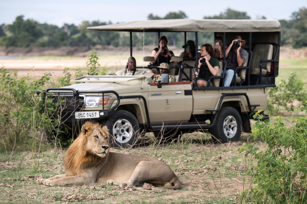 Zambia Luxury Safaris Get Eco-Conscious with Green Safaris