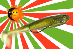 BACURATO SWIMMER バクラトスイマー ｜ IMAKATSU ｜