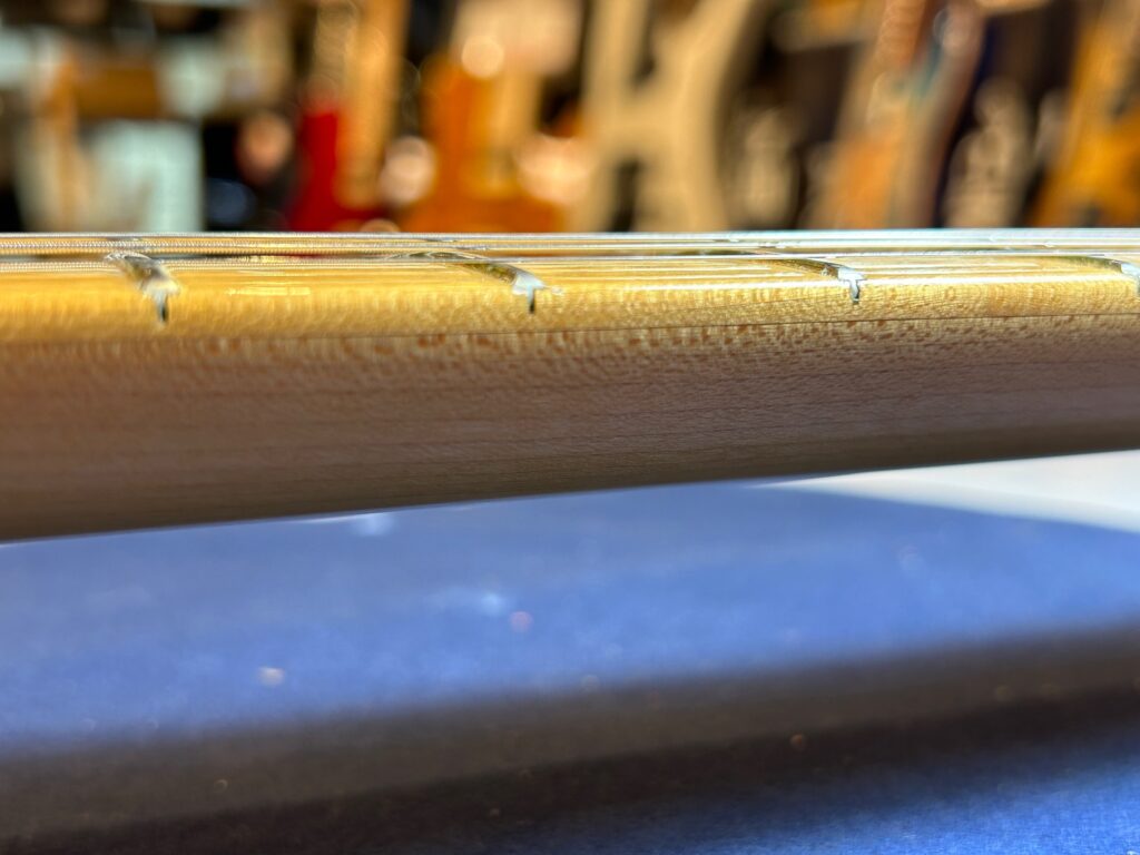 ストラトを嗜む。Vol.2 ネック材メイプルの木目を読む。 | イシバシ