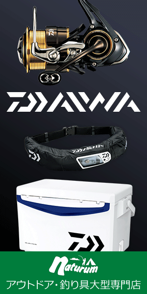 24/25 AMICSS RCV165 - アルペンスノーボード試乗日記