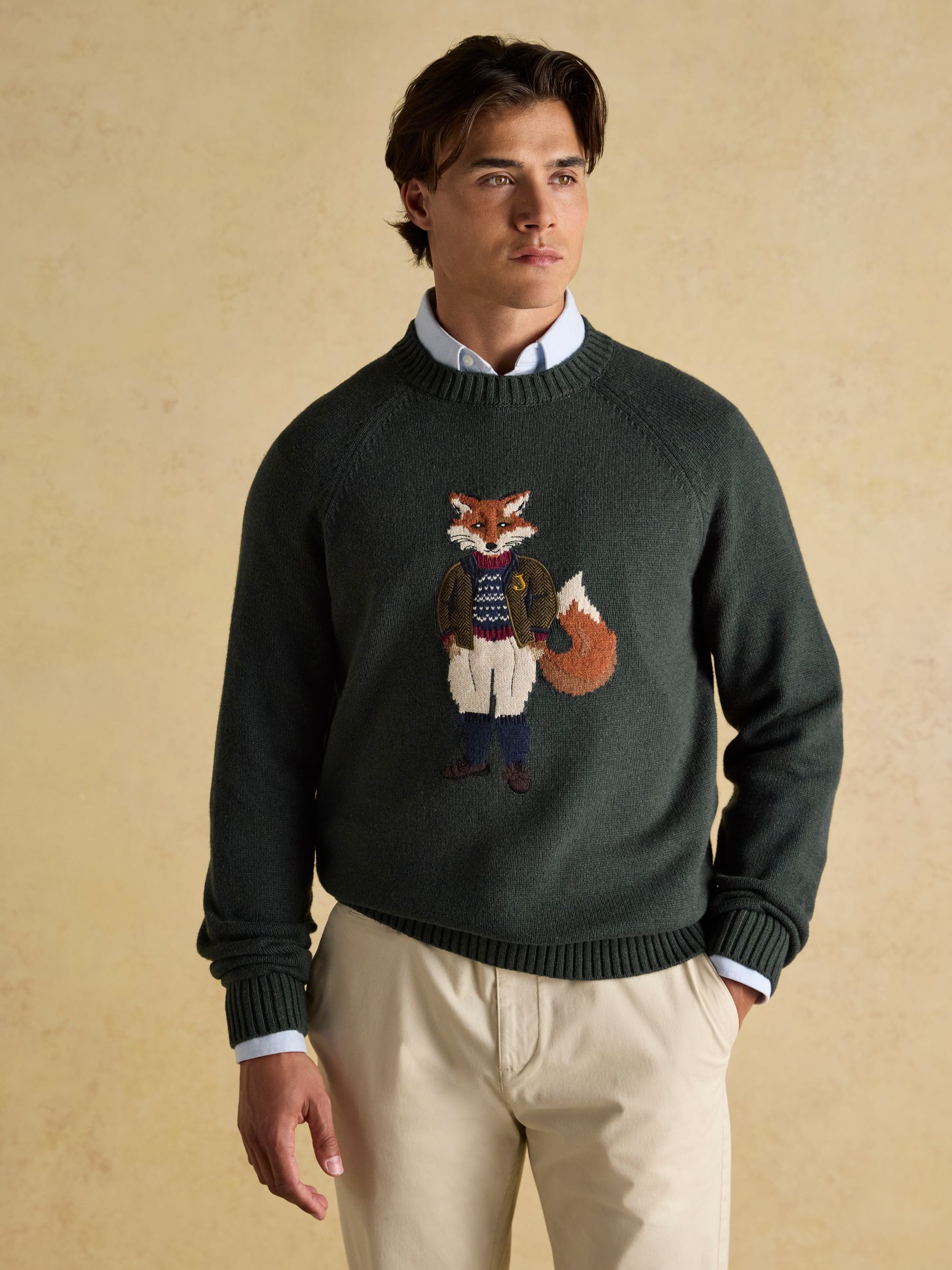 Buy Joules Jonty Fox Green Intarsia Crew Knit Jumper from Next USA