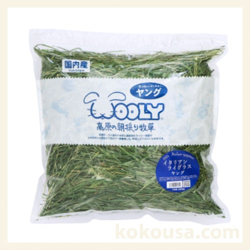 INFORMATION – ココロのおうちのうさぎLife