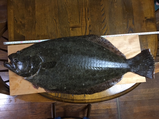 Variety of Fish / BlueCurrent 78M/Ⅱ ＆ BlueCurrent72TZ Nano