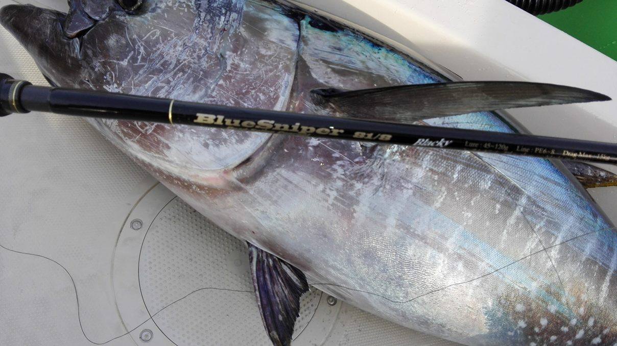 スペイン マグロ BlueSniper 81/8 Blacky | YAMAGA BlanksYAMAGA Blanks