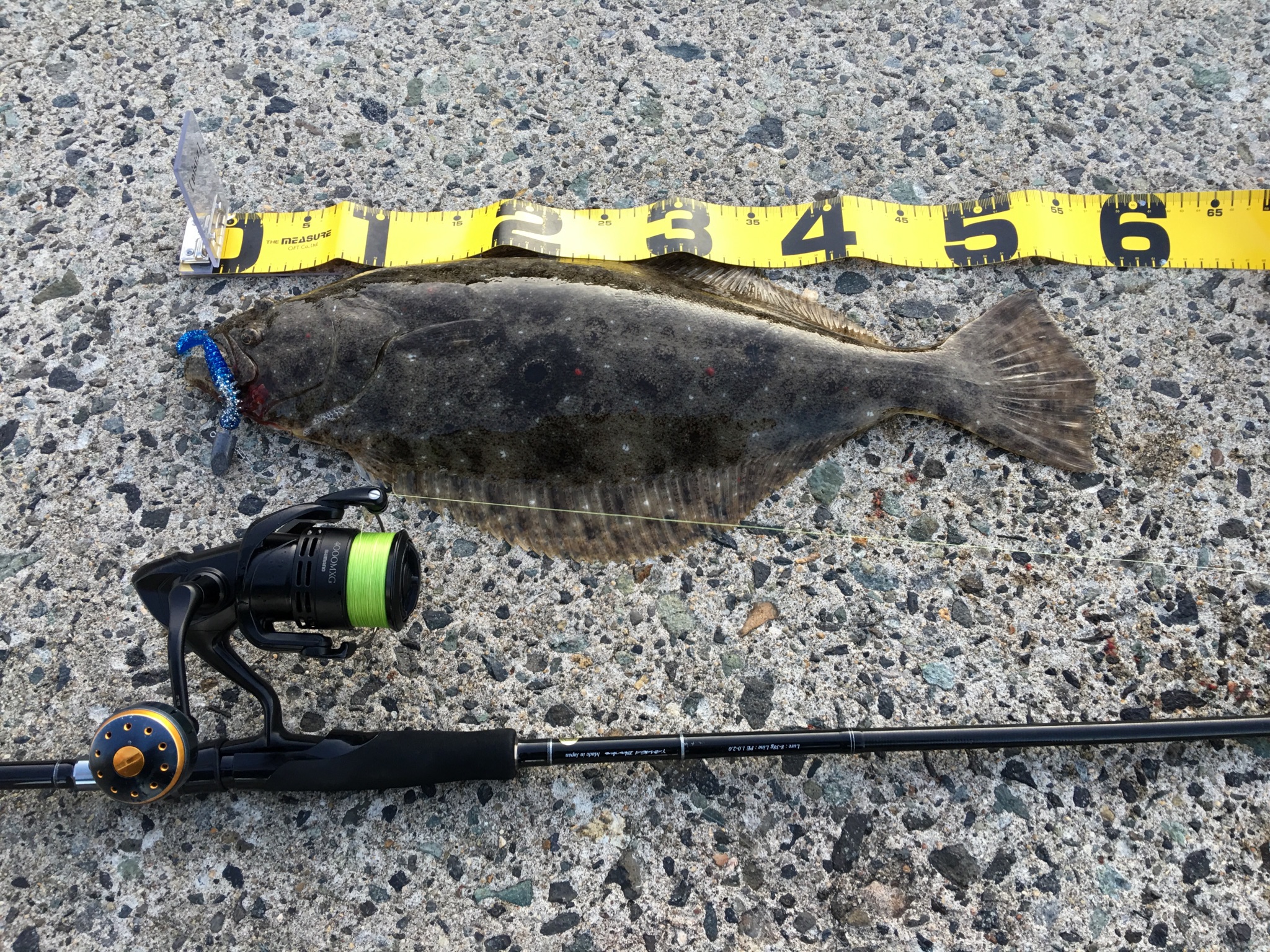 Ballistick 96MMH TZ/NANOで狙う北海道フラットフィッシュ。 | YAMAGA