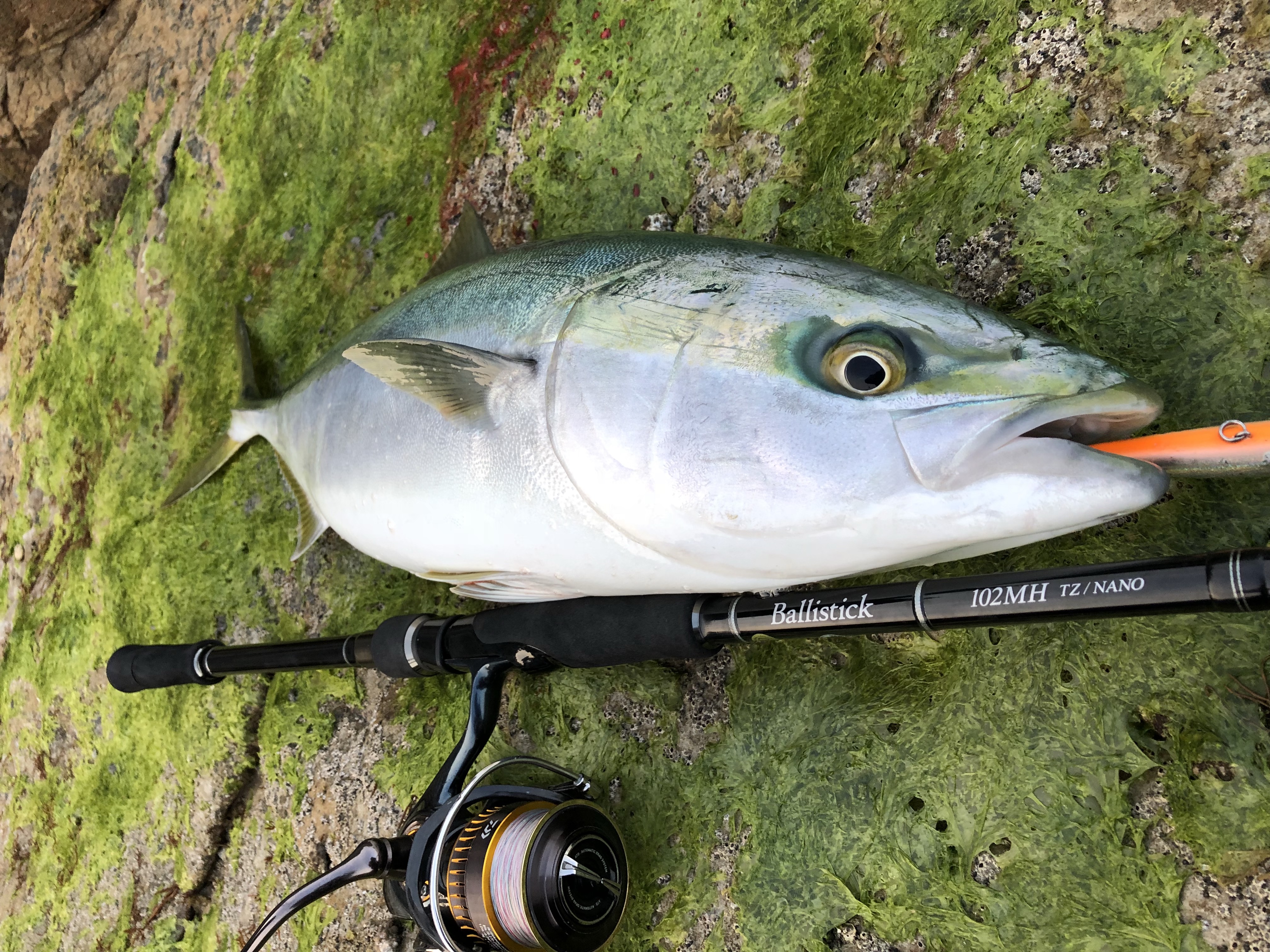 ロッド YAMAGA Blanks Ballistick 102MH TZ/NANO Ballistick 102MH TZ