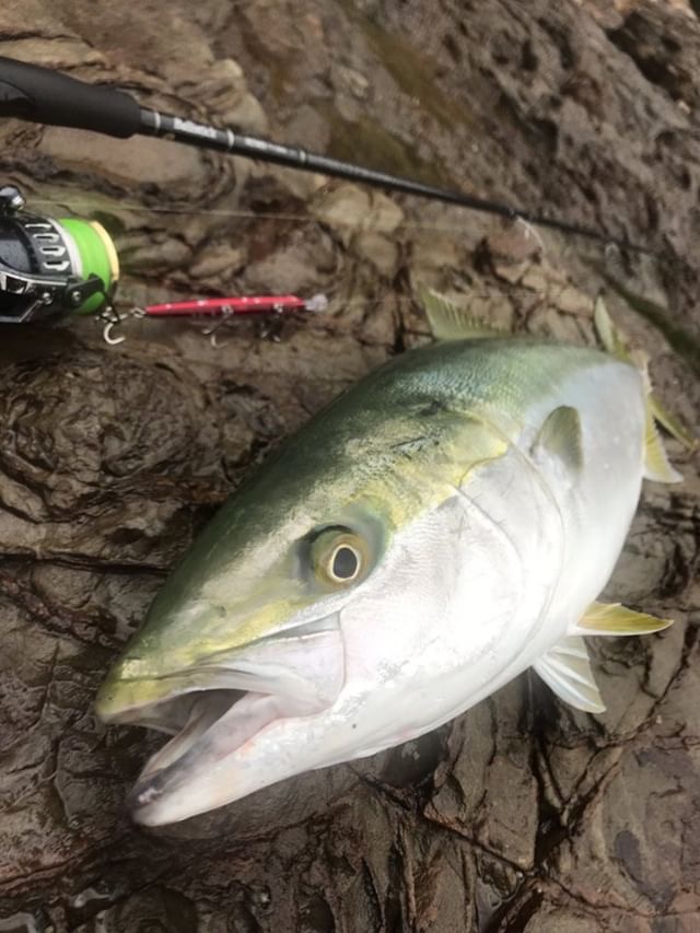 熊本県 ショア青物 Ballistick 102MH TZ/NANO | YAMAGA BlanksYAMAGA