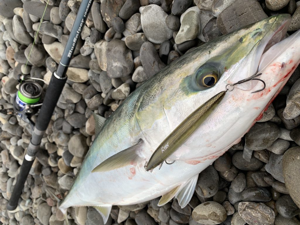 徳島県 ショア青物 BlueSniper 100MH（旧モデル） | YAMAGA