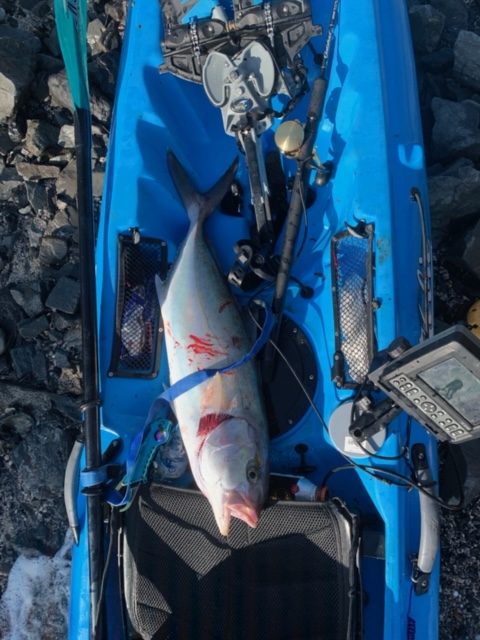 高知県 カヤックジギング Galahad604B | YAMAGA BlanksYAMAGA Blanks