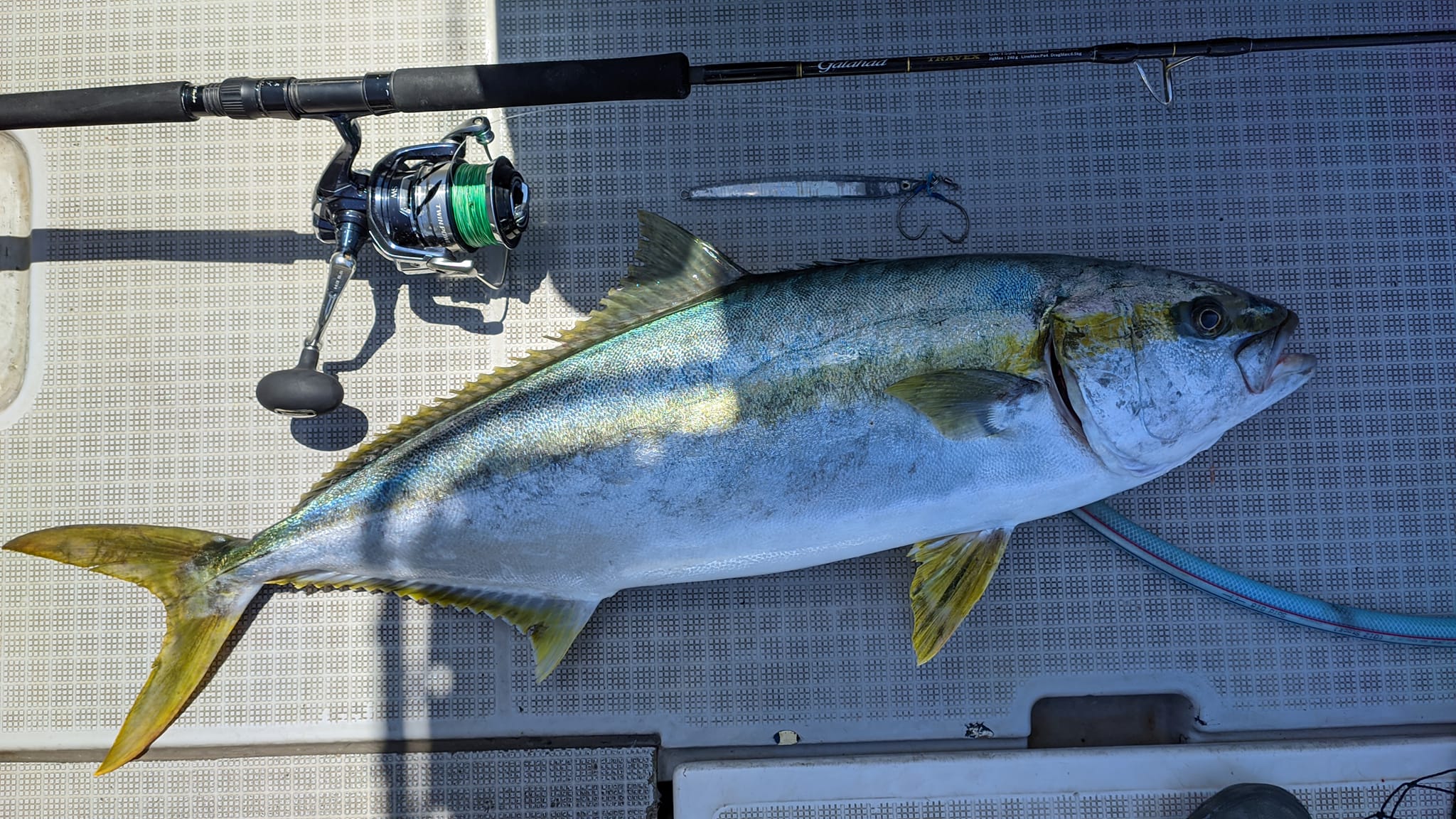 佐賀県】ヒラマサジギング Galahad TRAVEX 594S | YAMAGA BlanksYAMAGA