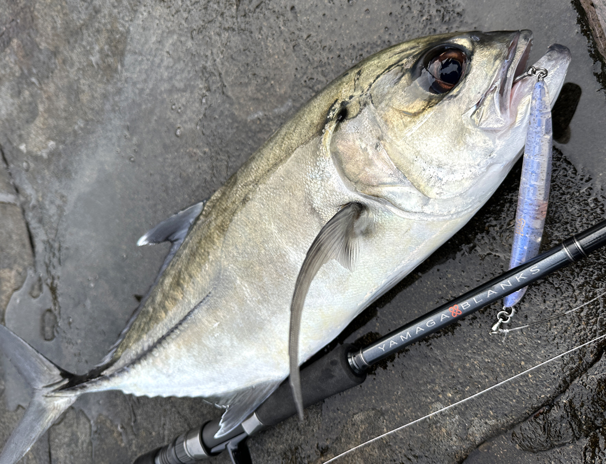 YAMAGA BLANKS 88 CHAIN 発売迫る!! 8月8日店頭販売開始!! | YAMAGA