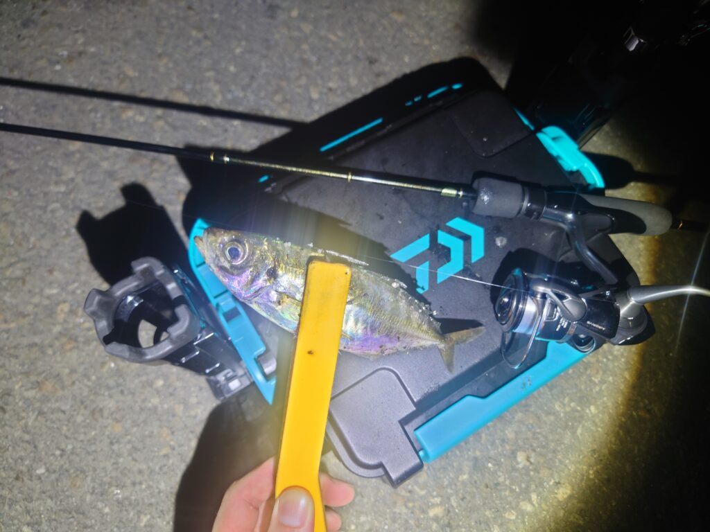 関東】アジングゲーム BlueCurrent 53TZ | YAMAGA BlanksYAMAGA Blanks